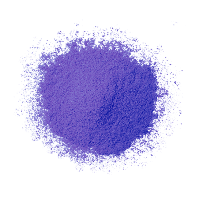 Blueberry powder